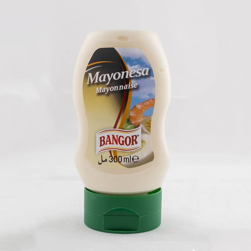 MAYONESA CASERA BOCA ABAJO 10/300ml